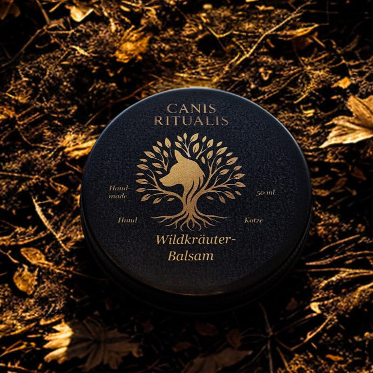 Rundes Döschen des Canis-Ritualis-Wildkräuter-Balsams mit goldener Prägung, liegend auf herbstlich braunem Waldboden – handgemachtes Naturprodukt für Hunde und Katze