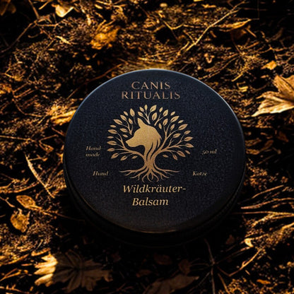 Rundes Döschen des Canis-Ritualis-Wildkräuter-Balsams mit goldener Prägung, liegend auf herbstlich braunem Waldboden – handgemachtes Naturprodukt für Hunde und Katze