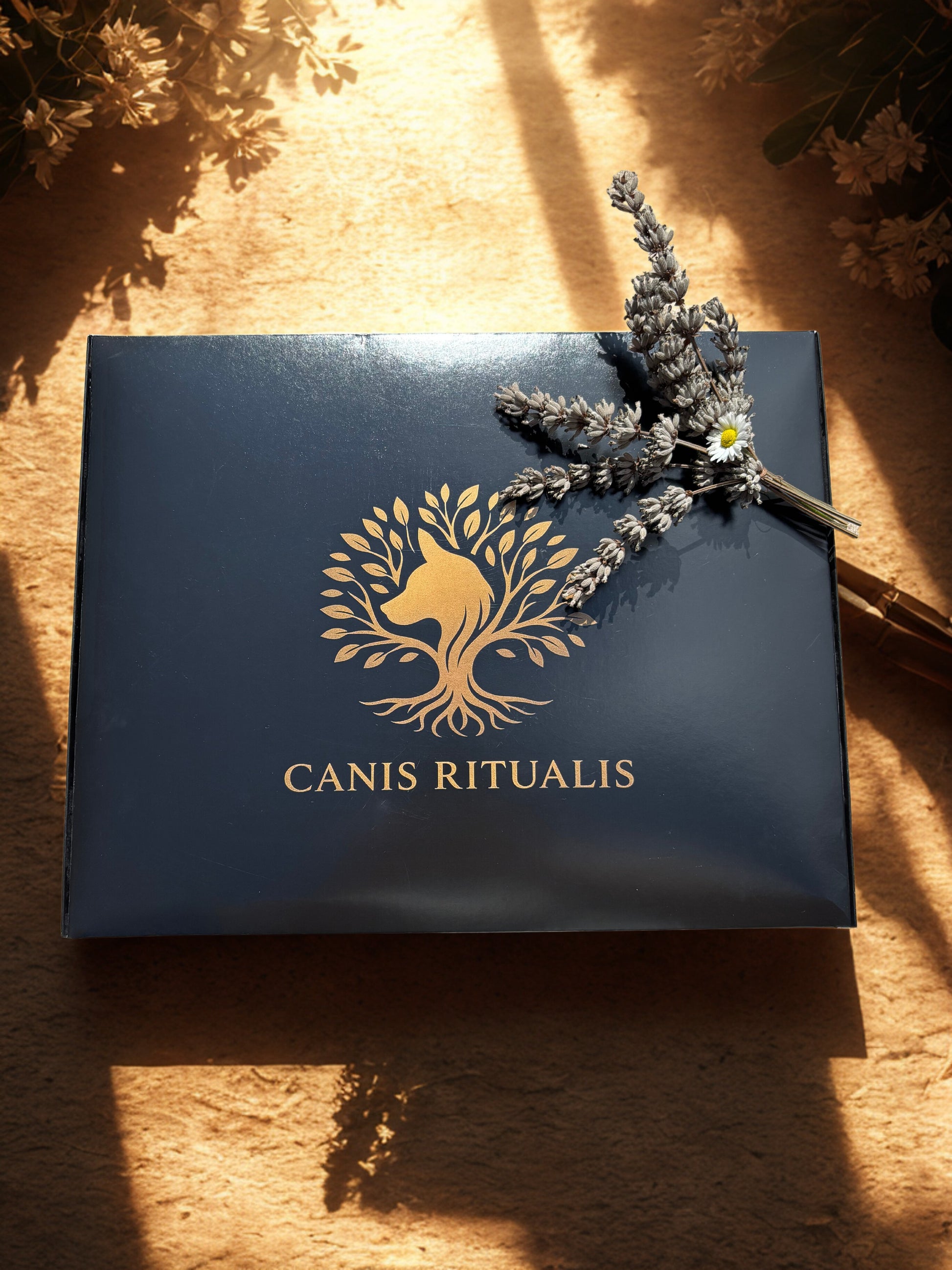 Schwarze Canis-Ritualis-Geschenkbox mit goldfarbenem Logo, dekoriert mit einem Lavendelzweig – fotografiert in warmem Sonnenlicht auf Naturpapier-Hintergrund.
